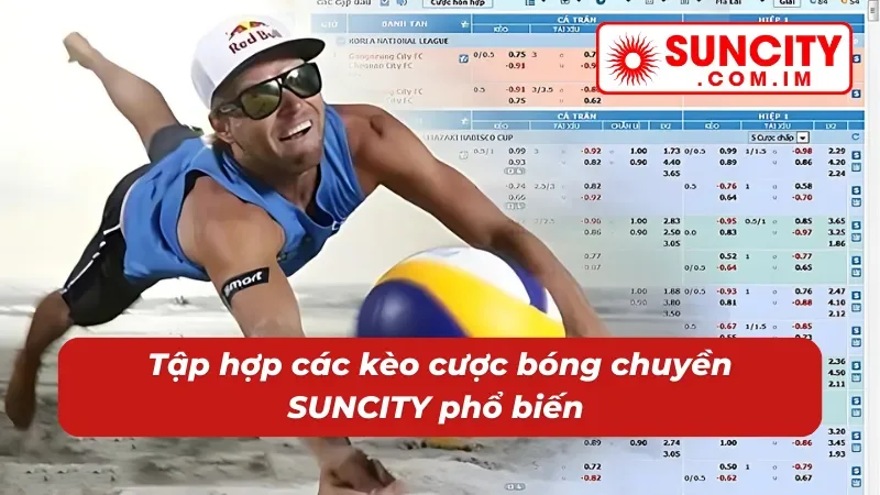 Bóng Chuyền SUNCITY - Trải Nghiệm Thể Thao Đỉnh Cao Tại Nhà Cái 3 Những kèo cược bóng chuyền dễ bắt gặp