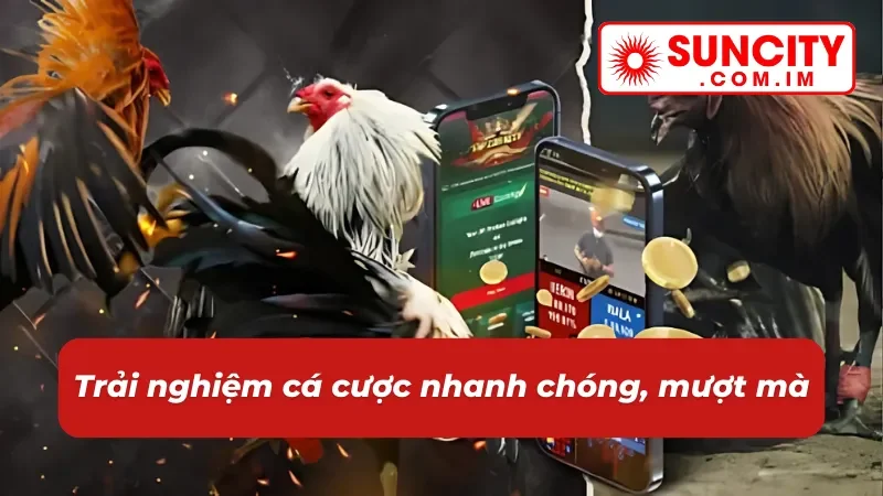 Đá Gà SUNCITY - Trải Nghiệm Không Gian Cá Cược Đẳng Cấp 5 Sảnh đá gà mang đến một trải nghiệm cá cược mượt mà