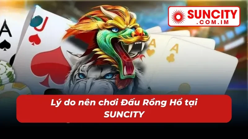 Đấu Rồng Hổ SUNCITY – Nổ Hũ Đỉnh Cao Cho Cược Thủ Hiện Đại 5 Sức hút khó cưỡng của game nổ hũ Đấu Rồng Hổ