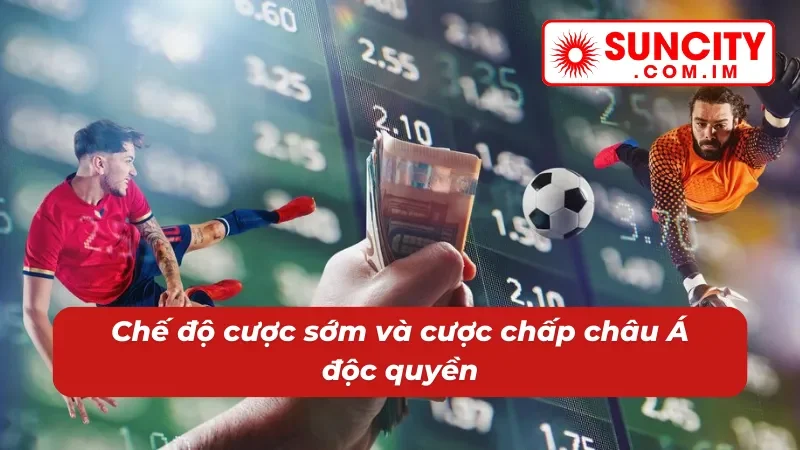 IM Thể Thao SUNCITY - Cá Cược Thể Thao Đỉnh Cao Mỗi Ngày 4 IM thể thao có chế độ cược độc quyền mới nhất