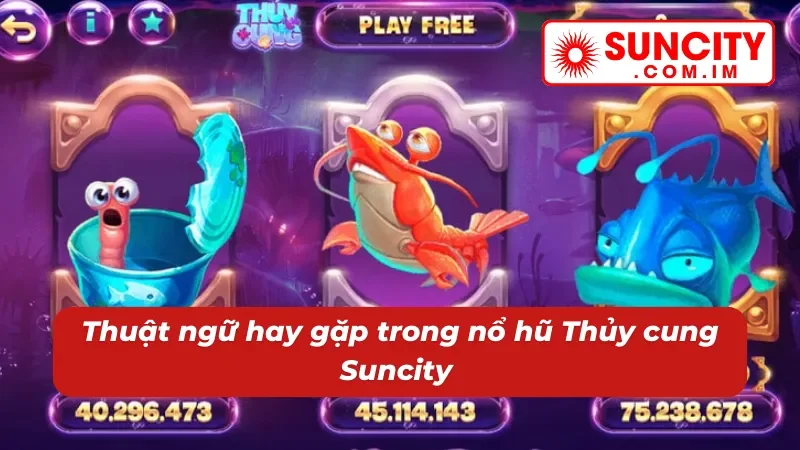 Nổ hũ Thủy Cung Suncity - Đắm Chìm Trong Kho Báu Jackpot 4 Thuộc lòng các cụm từ hay gặp tại Nổ hũ Thủy Cung