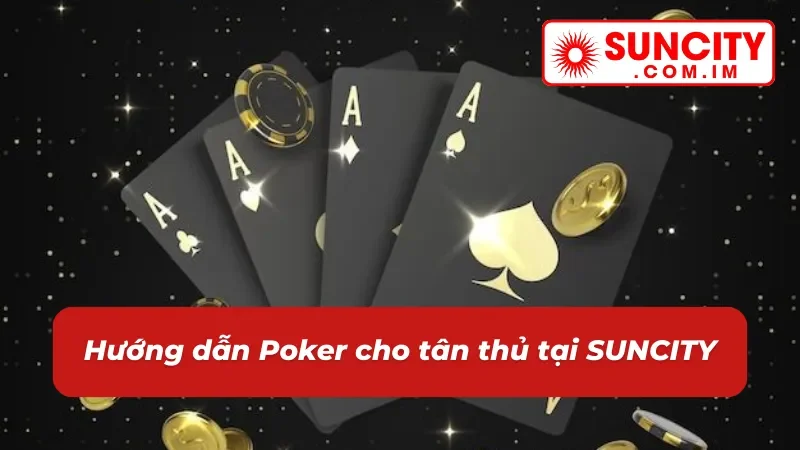 Poker SUNCITY: Game Casino Online Thể Hiện Bản Lĩnh Cược Thủ 3 Chỉ dẫn chơi Poker chi tiết cho cược thủ mới