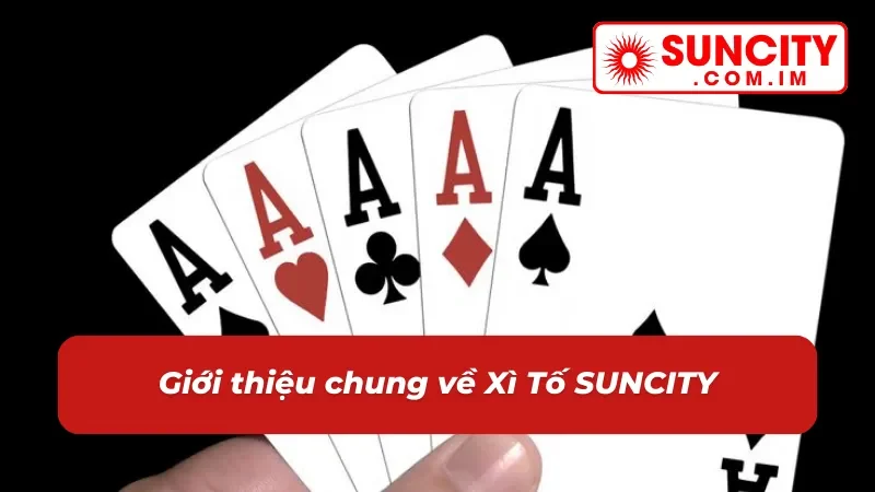 Xì Tố SUNCITY – Game Bài Đổi Thưởng Với Sức Hút Khó Cưỡng 2 Đôi nét về game bài Xì Tố tại nhà cái